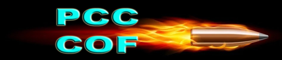HOMEPAGE [copadelospistoleros3.com]